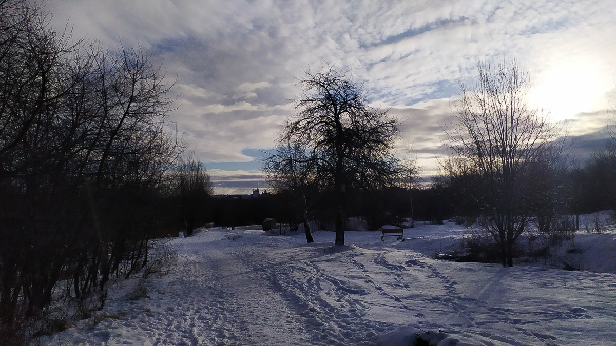 Во Владимире зеленые насаждения в зоне риска. А вот в Вязниках, наоборот, деревьев может стать больше