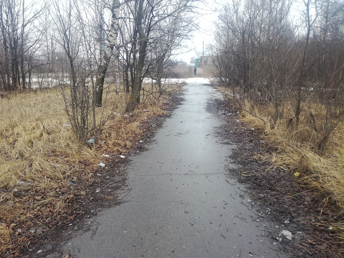 Во Владимире зеленые насаждения в зоне риска. А вот в Вязниках, наоборот, деревьев может стать больше