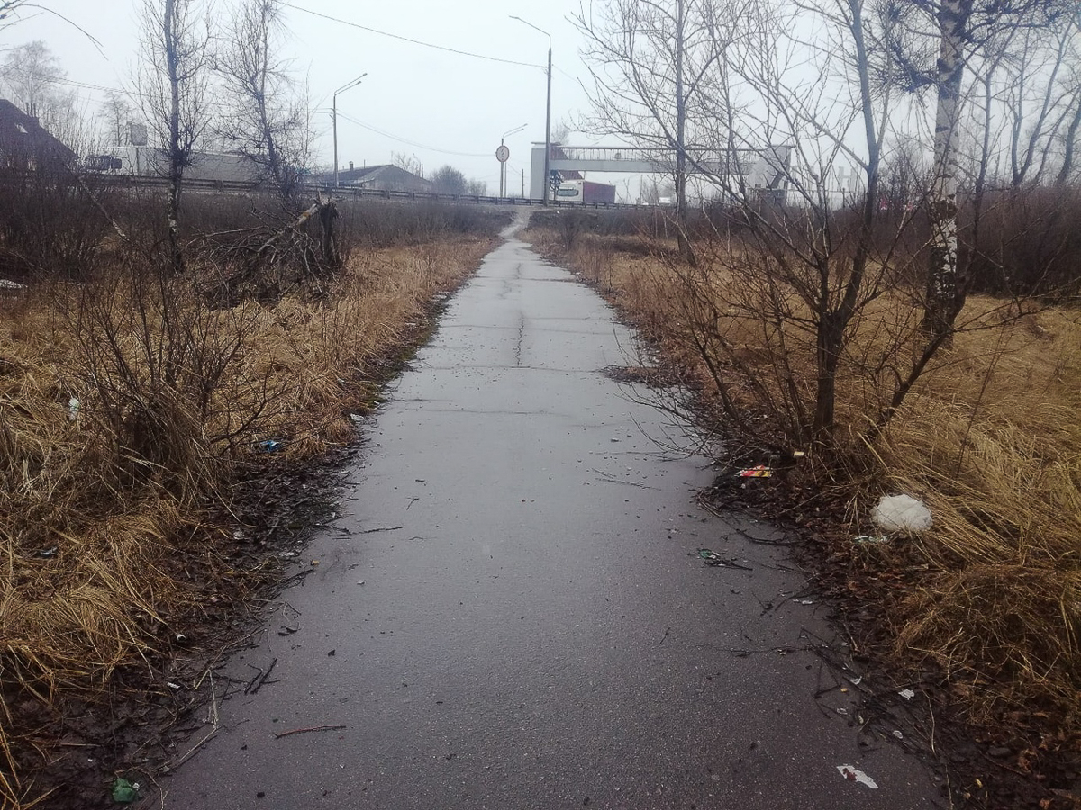 Во Владимире зеленые насаждения в зоне риска. А вот в Вязниках, наоборот, деревьев может стать больше