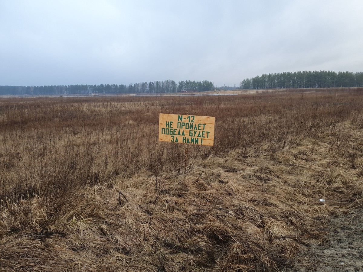 На М7 очередные нововведения. Плюс есть информация по строительству М12. Делимся важными новостями о дорогах региона