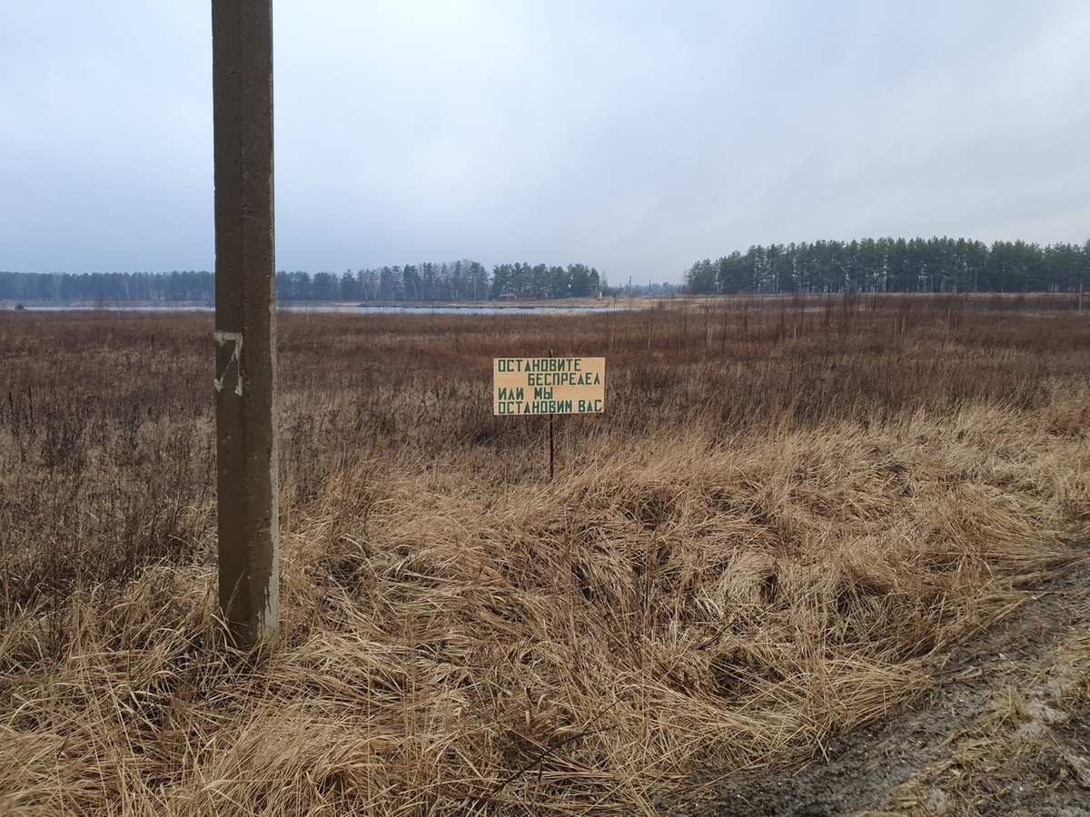 На М7 очередные нововведения. Плюс есть информация по строительству М12. Делимся важными новостями о дорогах региона