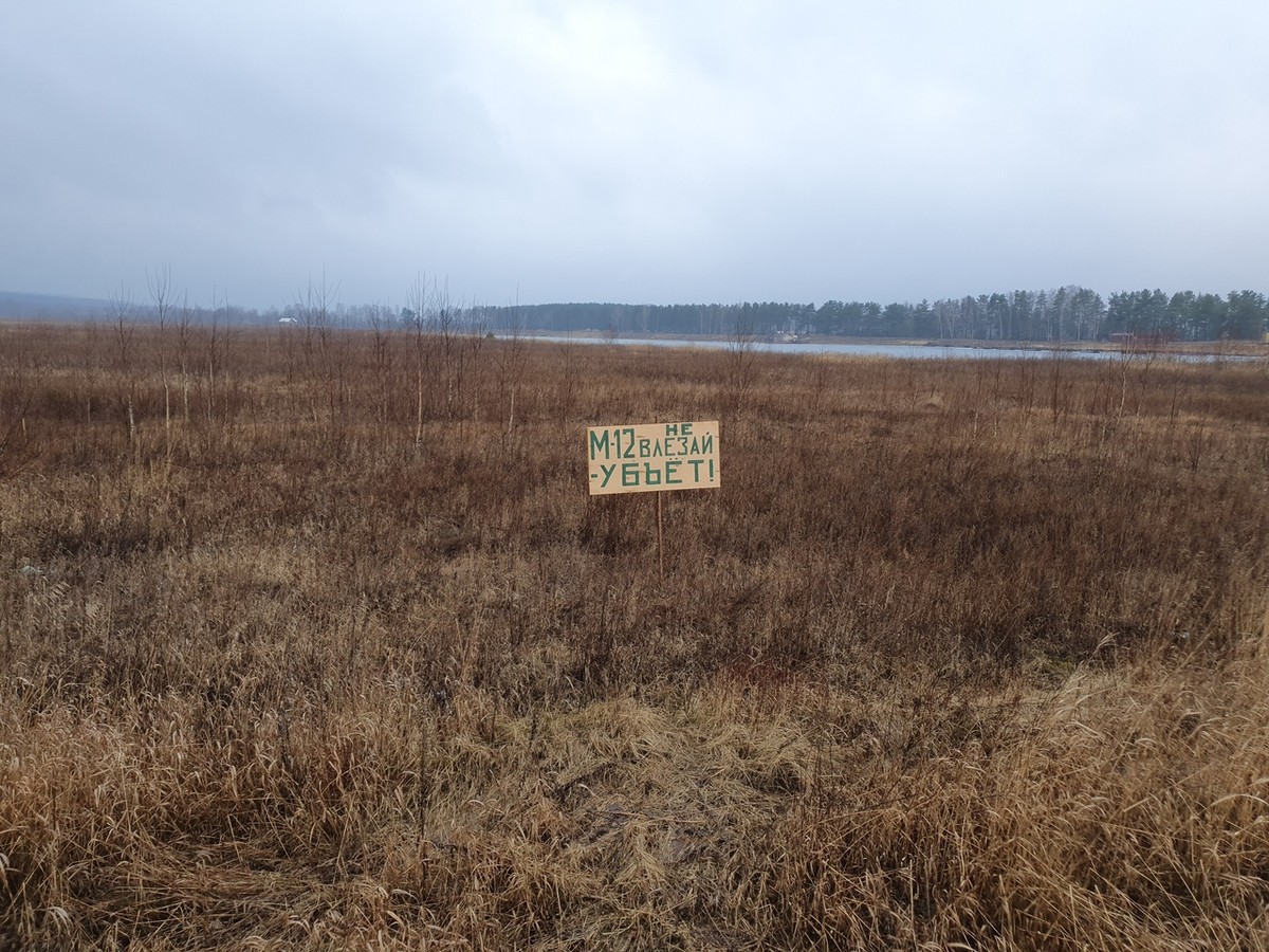 На М7 очередные нововведения. Плюс есть информация по строительству М12. Делимся важными новостями о дорогах региона