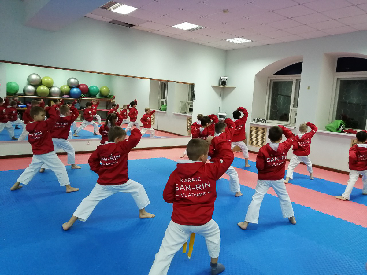 Что такое каратэ? С какого возраста дети могут ходить на тренировки? Что важнее — нацеленность на спортивные победы или возможность постоять за себя на улице? На все вопросы, связанные с этим видом боевых искусств, ответил вице-президент организации «Спортивный клуб „САН-РИН“» Александр Кузьмин