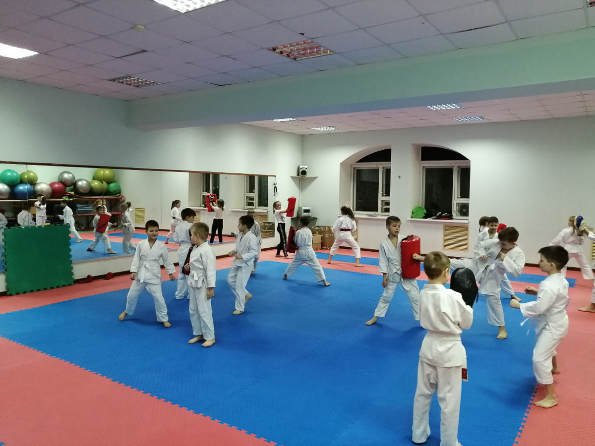 Что такое каратэ? С какого возраста дети могут ходить на тренировки? Что важнее — нацеленность на спортивные победы или возможность постоять за себя на улице? На все вопросы, связанные с этим видом боевых искусств, ответил вице-президент организации «Спортивный клуб „САН-РИН“» Александр Кузьмин