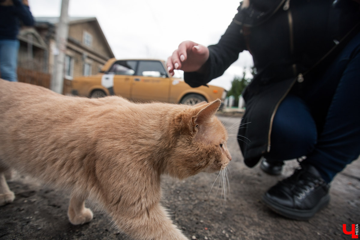 Михаил Мойсеянчик провел для нас необычную экскурсию по центру Владимира. Обратили внимание на яркие контрасты городского быта