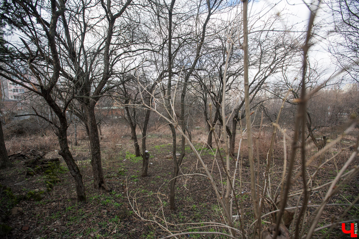 Михаил Мойсеянчик провел для нас необычную экскурсию по центру Владимира. Обратили внимание на яркие контрасты городского быта