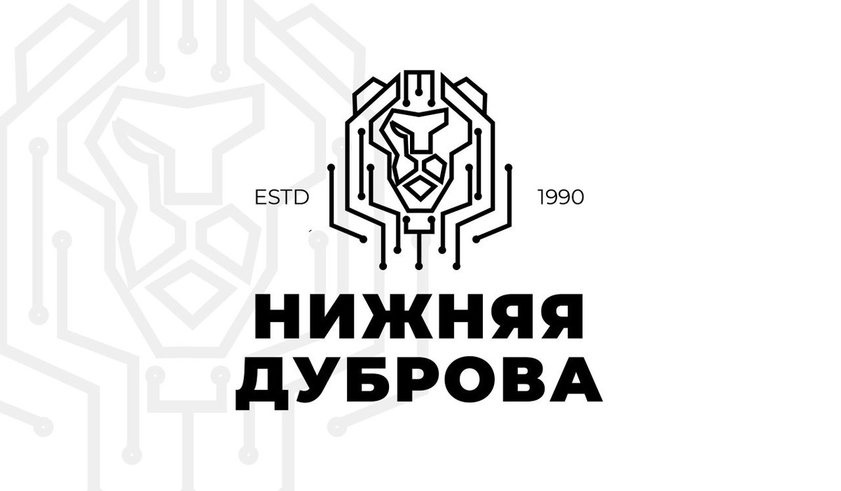 Дизайнеры поделились своим видением Владимира. С чем ассоциируются достопримечательности? И как могут выглядеть логотипы районов?