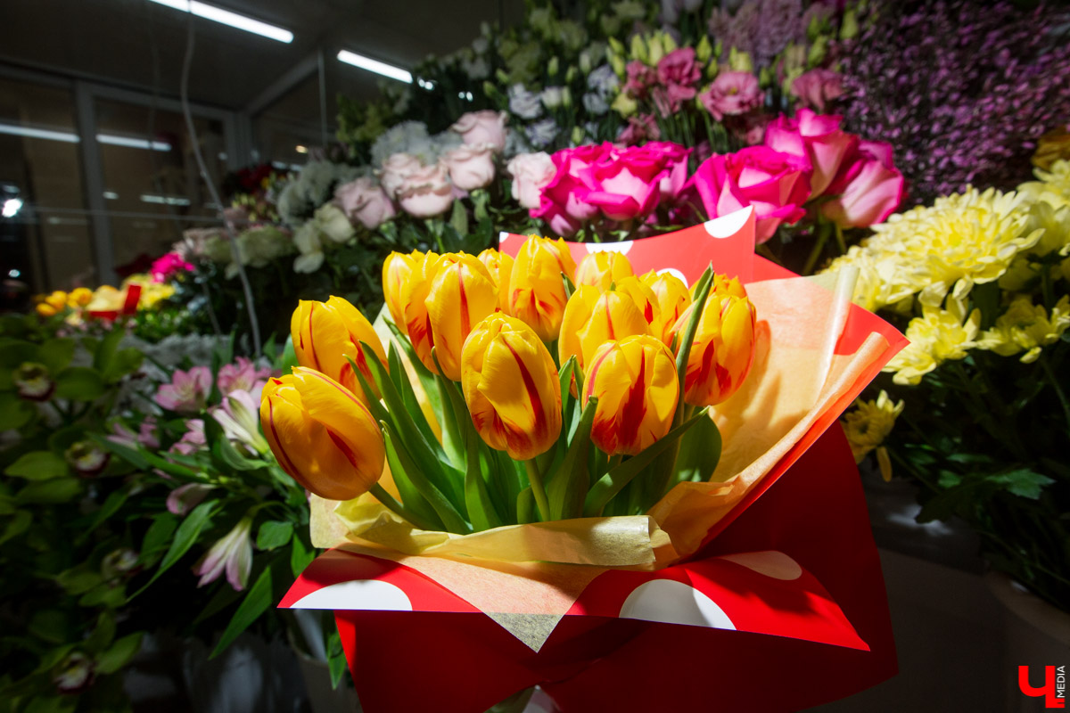 Рассказываем, чем хороша классика и почему в скором времени жители улицы Полины Осипенко перейдут на экзотику