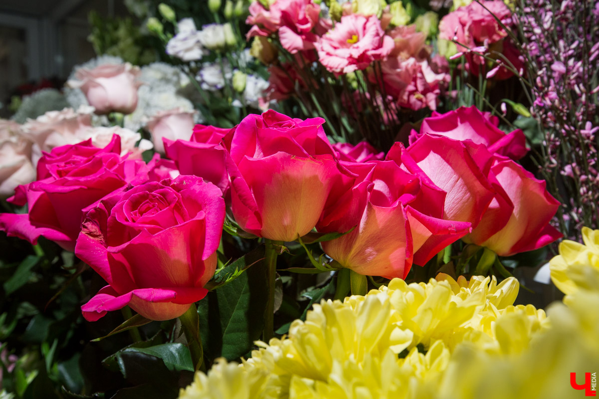 Рассказываем, чем хороша классика и почему в скором времени жители улицы Полины Осипенко перейдут на экзотику