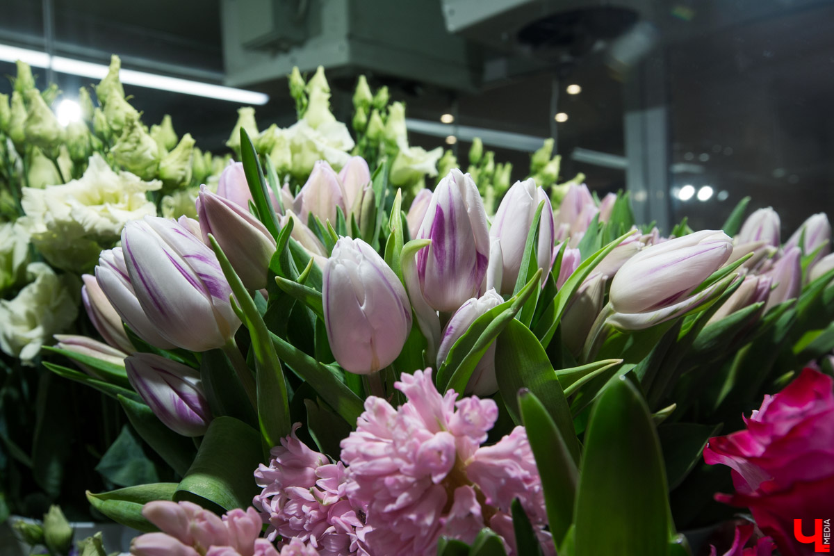 Рассказываем, чем хороша классика и почему в скором времени жители улицы Полины Осипенко перейдут на экзотику