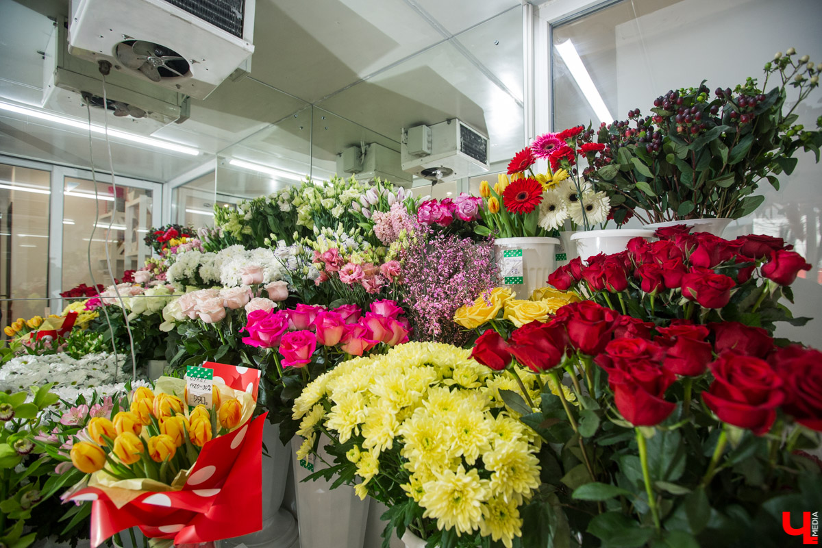 Рассказываем, чем хороша классика и почему в скором времени жители улицы Полины Осипенко перейдут на экзотику