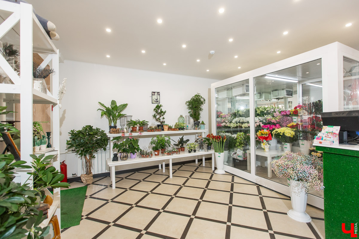 Рассказываем, чем хороша классика и почему в скором времени жители улицы Полины Осипенко перейдут на экзотику