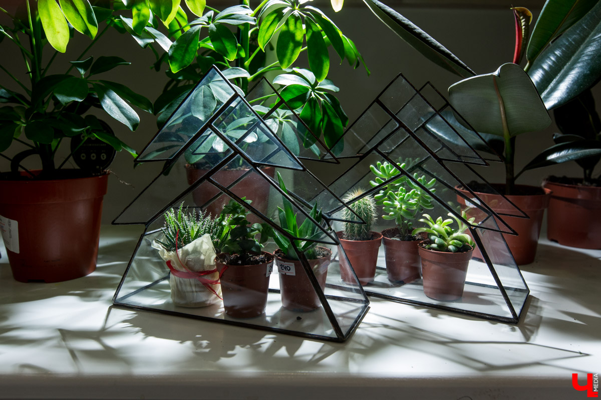 Рассказываем, чем хороша классика и почему в скором времени жители улицы Полины Осипенко перейдут на экзотику