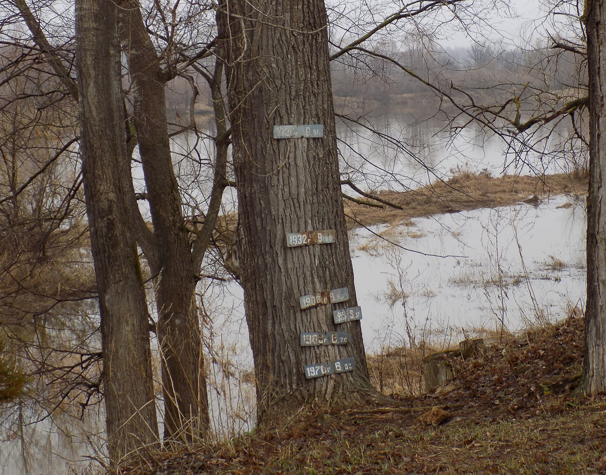 В Гороховце заканчивают строительство набережной. А вот обновление парка затягивается