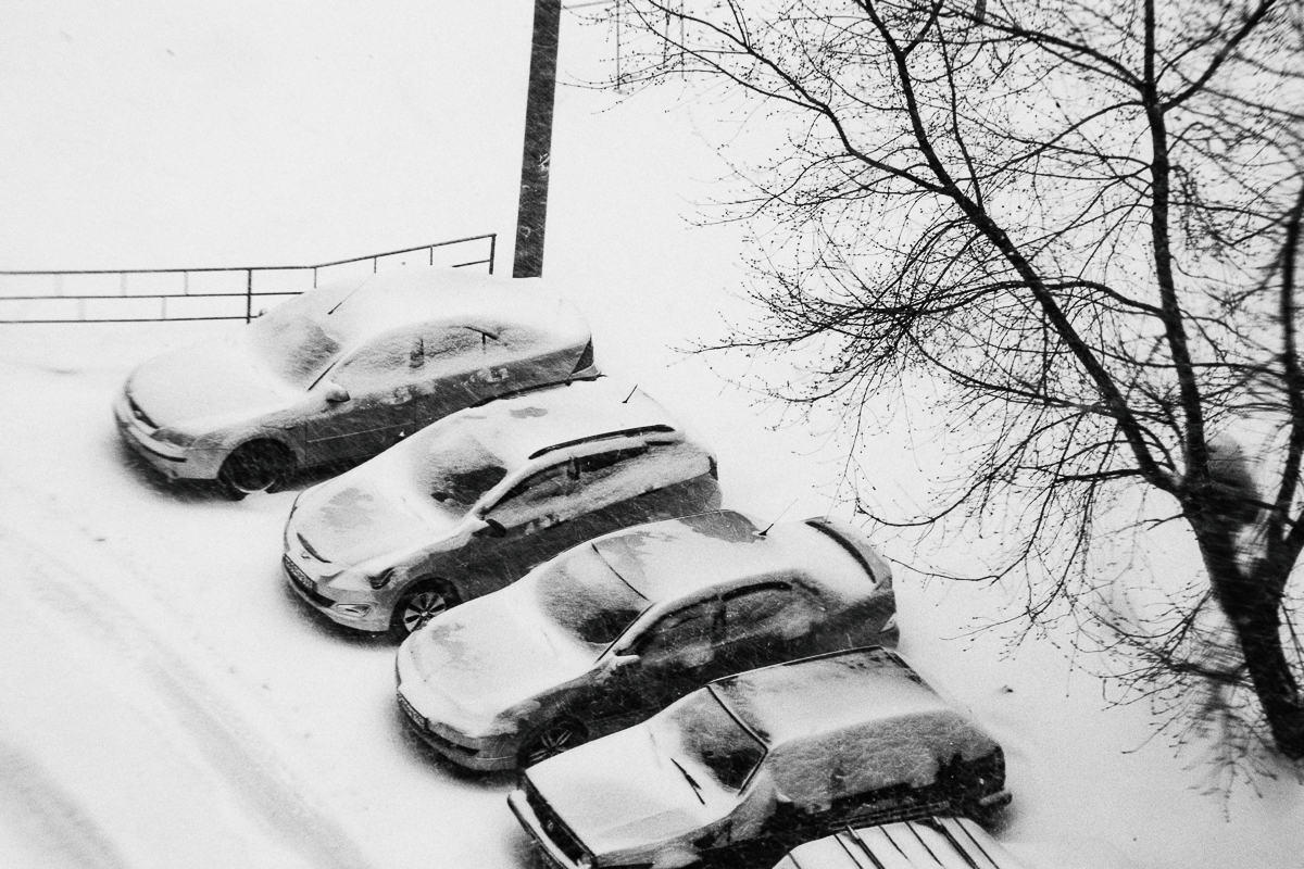 Меняется ли город, когда его жители сидят дома?