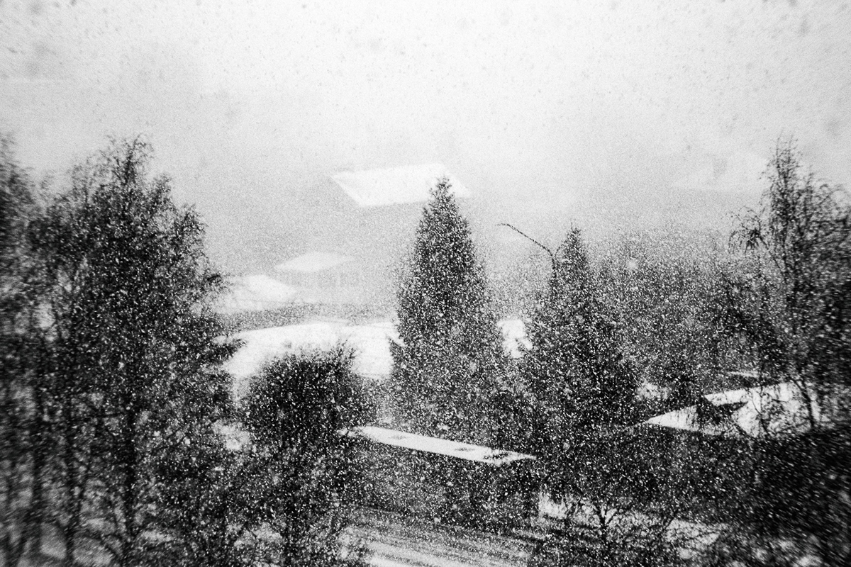 Меняется ли город, когда его жители сидят дома?