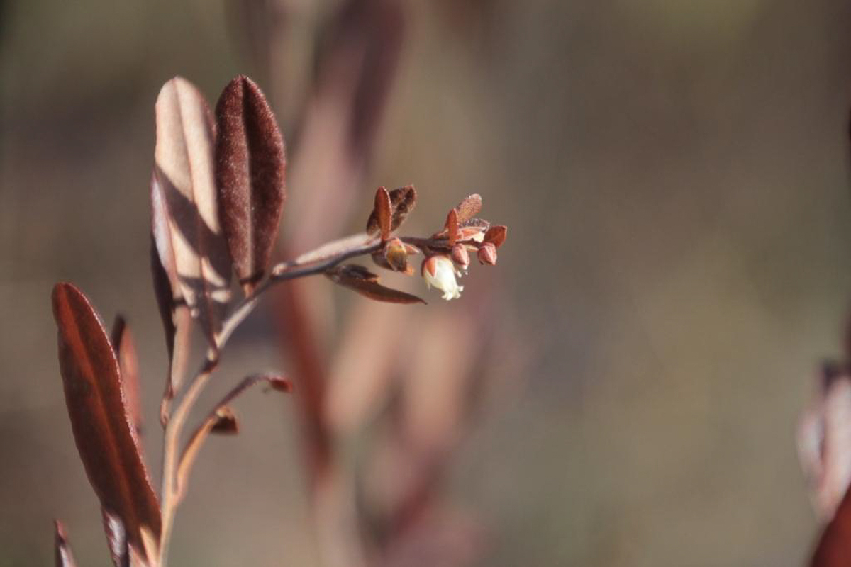 Составили весеннюю подборку фото и видео о жизни дикой природы Владимирской области