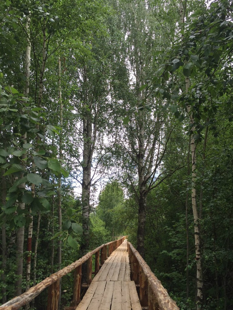 В Киржаче за 5 лет появилось более 20 новых локаций. Самая “свежая” - “Музей ледниковых камней”, которая открылась 4 апреля. Мы пообщались с автором глобального плана привлечения туристов в город - меценатом Евгением Федоровым