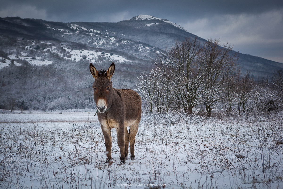 Геймерский авторитет на форуме, дружба по «аське» длиной в 15 лет, сходки гиков 2007 года и блог-туры. Читайте, как владимирцы развлекались до появления «ВКонтакте»