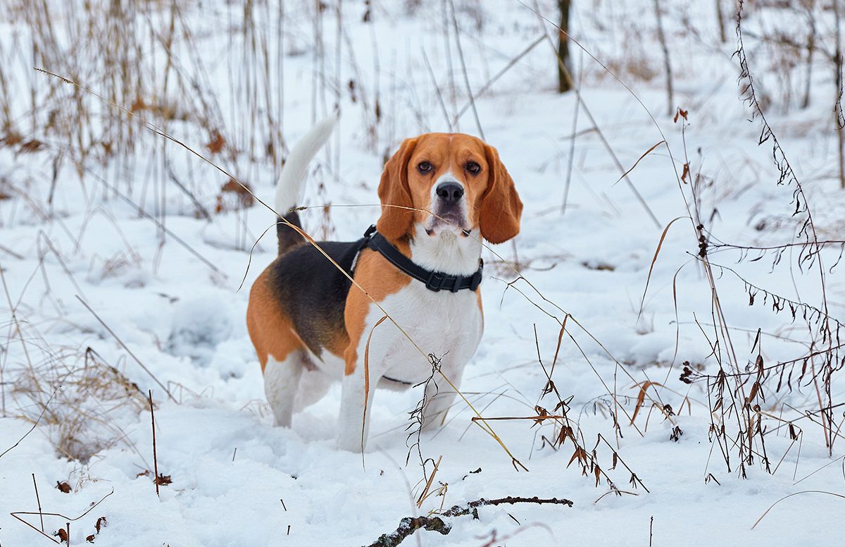 Продолжение истории о ностальгических портретах Даши Мягкой, которое стоит прочесть каждому фотографу