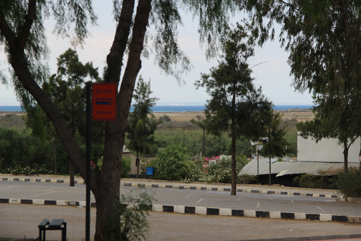 Роман Левандовский с 2015 года живет и учится за границей. Побывал на Северном Кипре, в Канаде, США и Колумбии. Мы попросили его сравнить зарубежные города с родным Владимиром