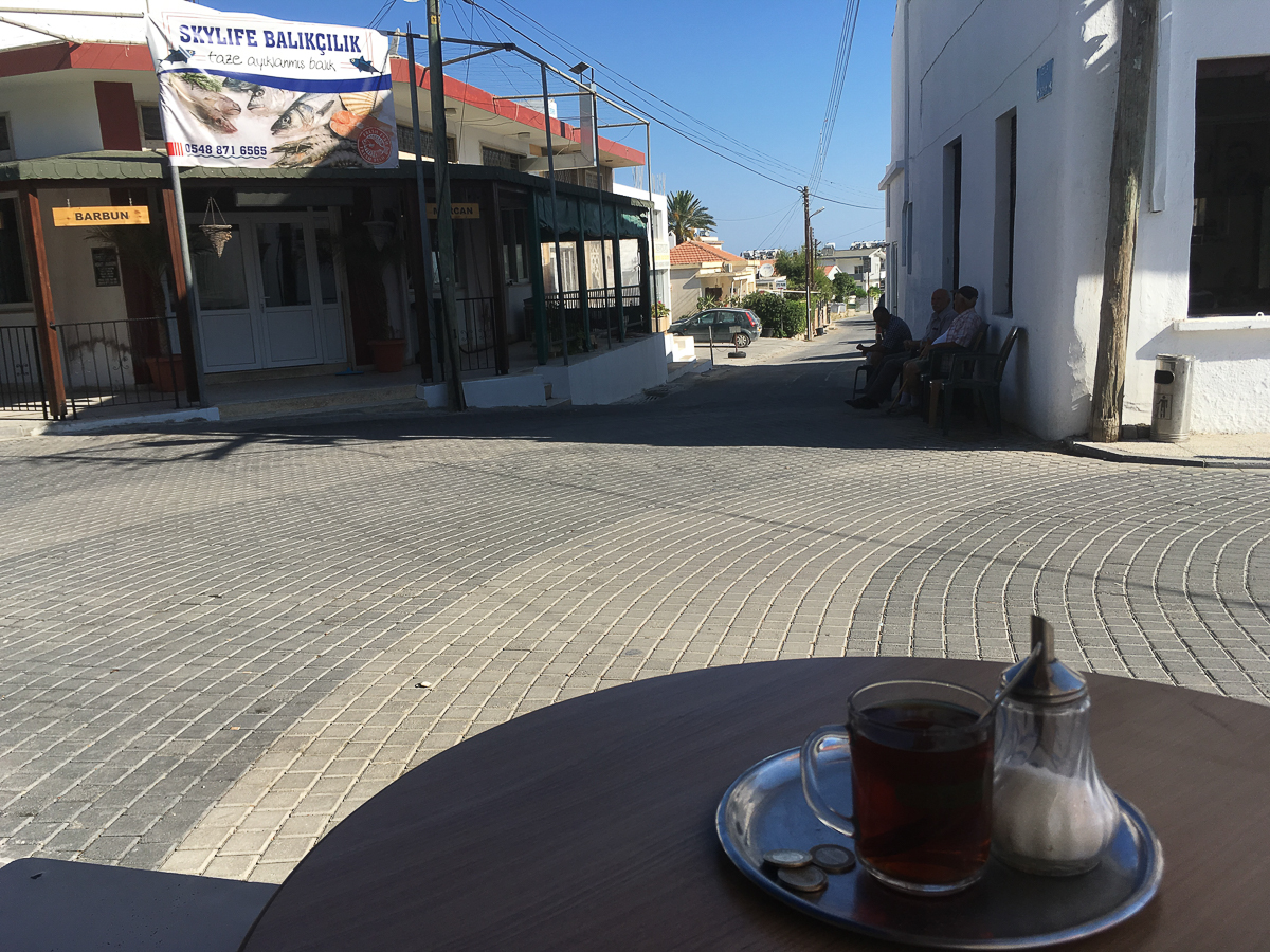 Роман Левандовский с 2015 года живет и учится за границей. Побывал на Северном Кипре, в Канаде, США и Колумбии. Мы попросили его сравнить зарубежные города с родным Владимиром