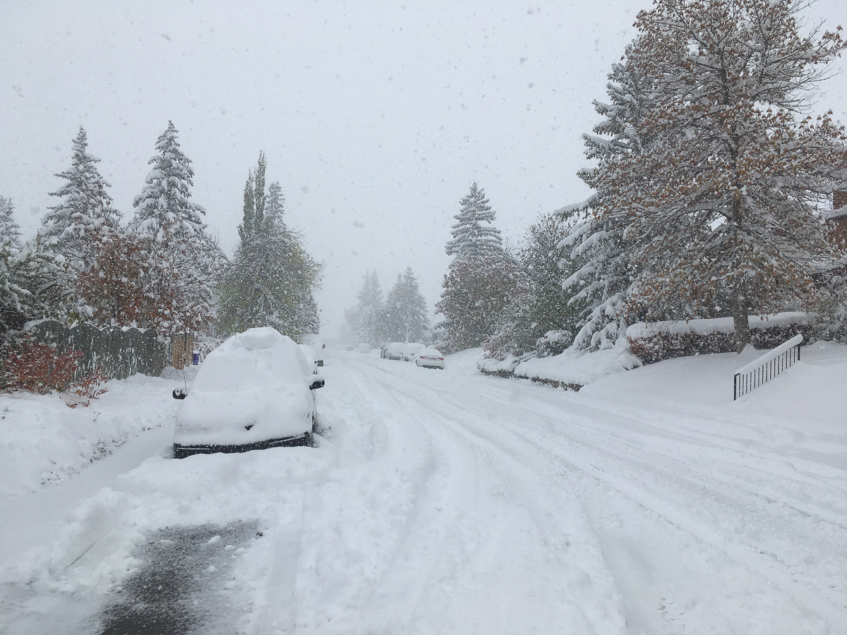 Роман Левандовский с 2015 года живет и учится за границей. Побывал на Северном Кипре, в Канаде, США и Колумбии. Мы попросили его сравнить зарубежные города с родным Владимиром