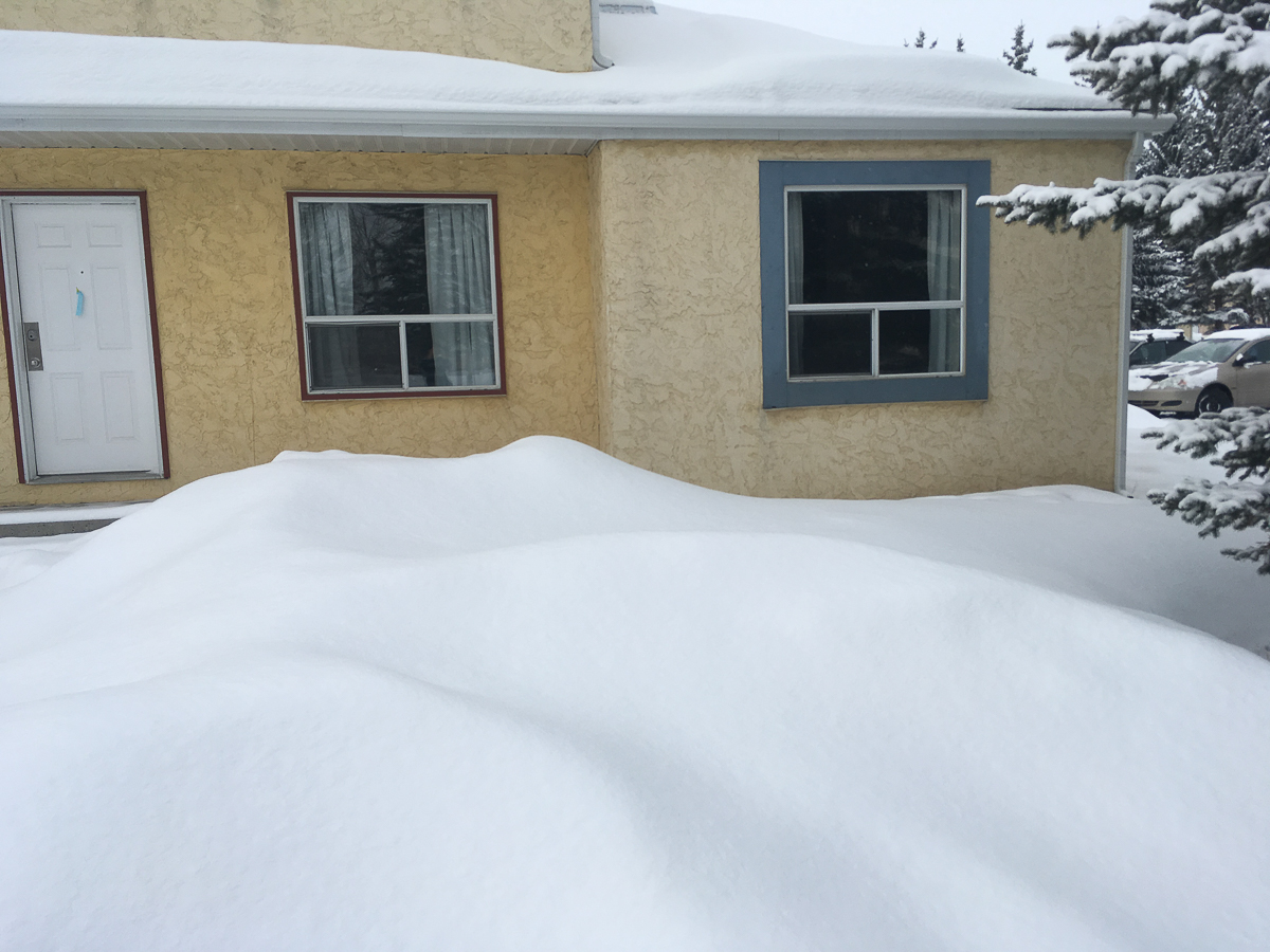 Роман Левандовский с 2015 года живет и учится за границей. Побывал на Северном Кипре, в Канаде, США и Колумбии. Мы попросили его сравнить зарубежные города с родным Владимиром