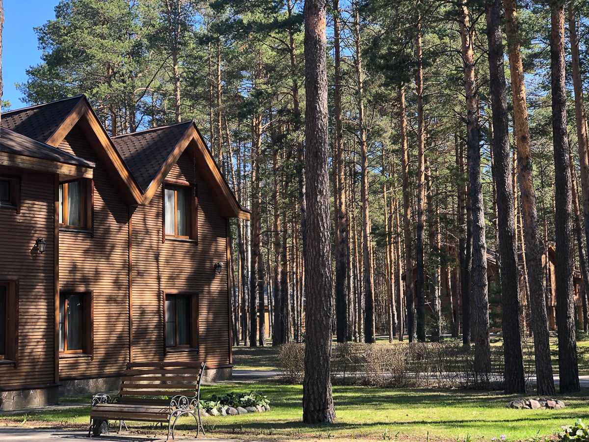 Что происходит во владимирском бизнесе? Мнения и прогнозы представителей разных сфер предпринимательства