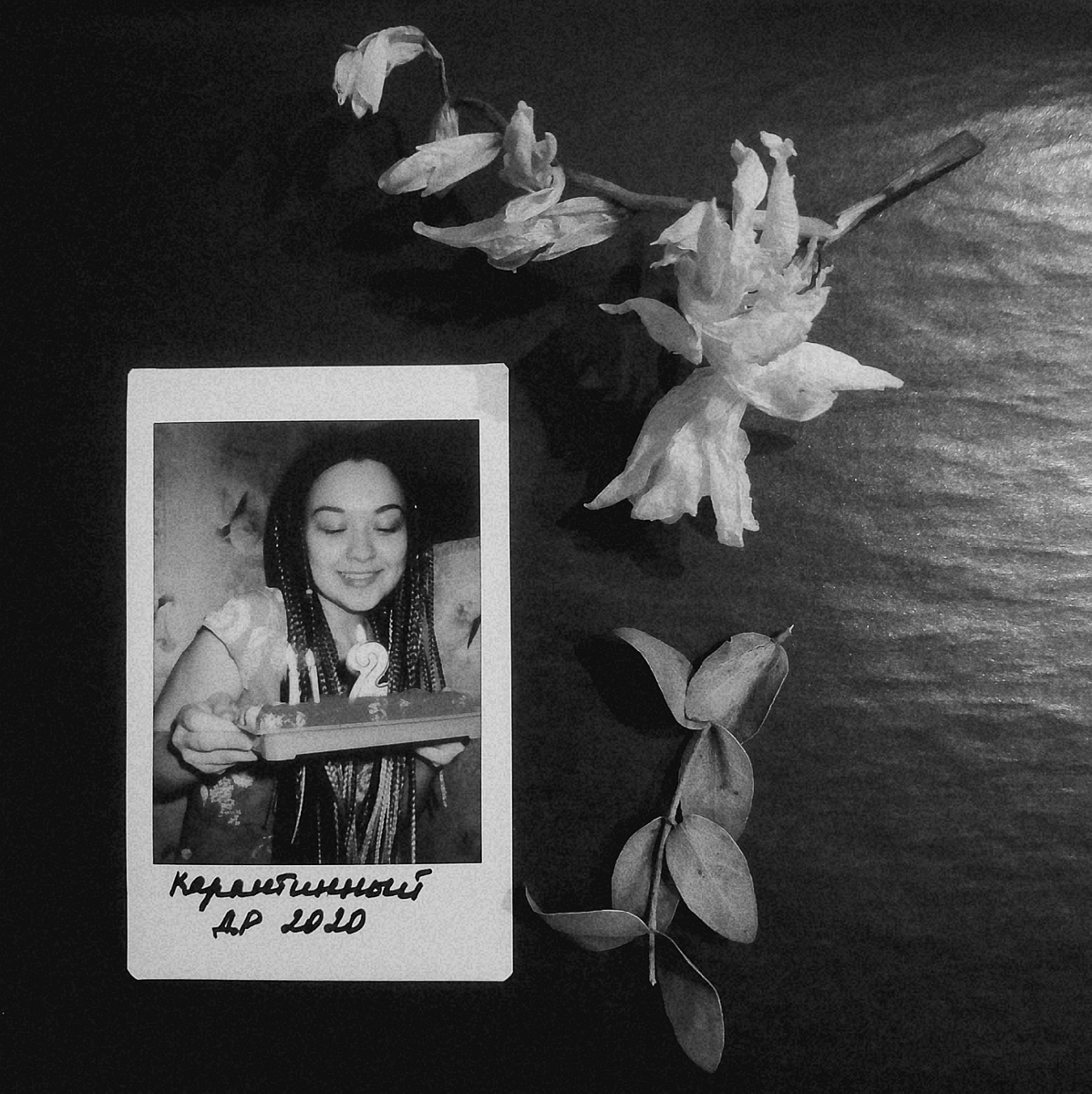 «Олимпусы», «инстаксы», «ФЭДы», «Зениты» в технических особенностях, ценах и ламповых фотографиях от молодых-горячих талантливых владимирцев