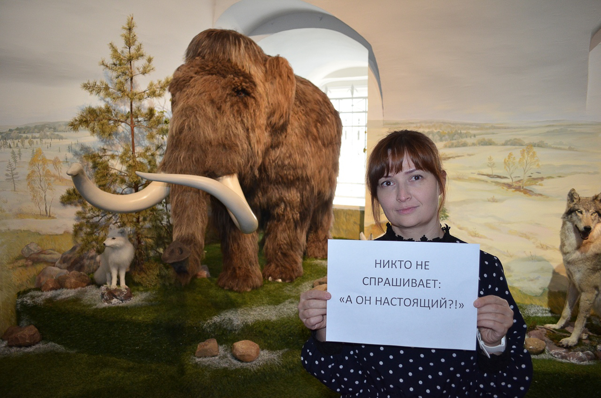 Как дела у владимирских музеев? Они скучают и проводят флешмобы