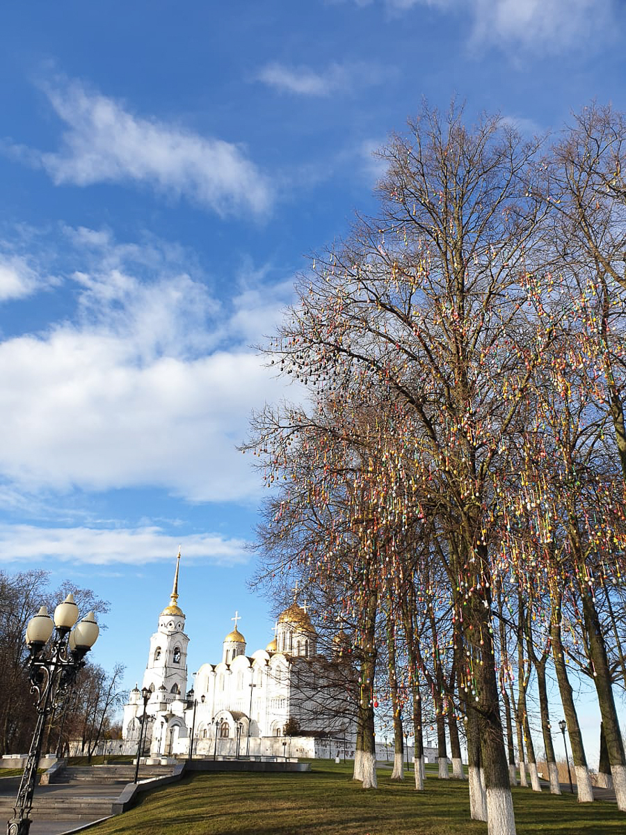 Инна Гомес, Михаил Галустян. Кто еще проявил интерес к владимирской акции «Пасхальное дерево»?