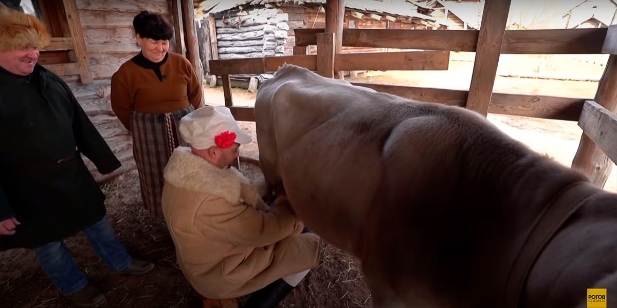 Съемки мэйковер-шоу в Суздале не обошлись без местного колорита. Пока героиня находилась в салоне красоты, стилист Александр Рогов отправился в музей «Щурово Городище», где доил корову, стрелял из лука и катался на ослице
