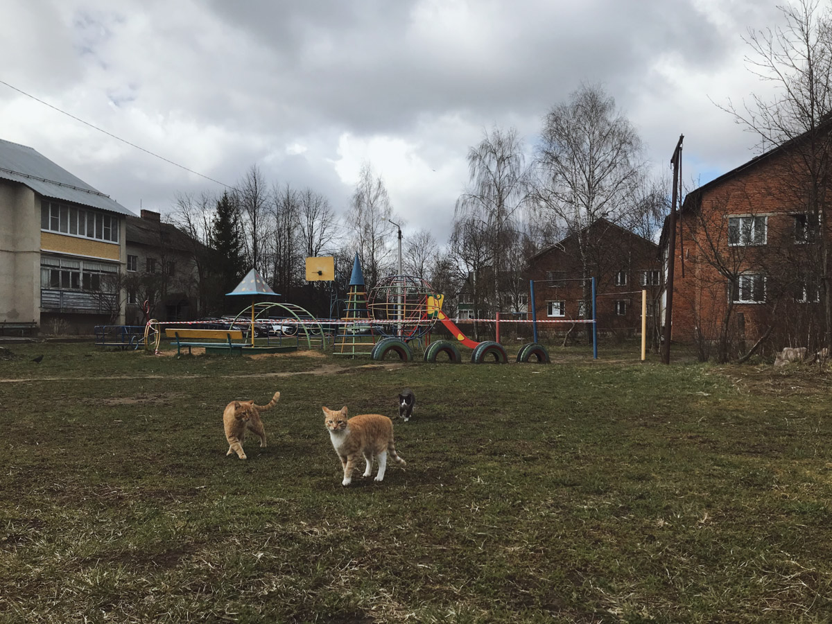 Раньше Суздаль таким можно было увидеть только очень рано утром. А теперь он так выглядит всегда. Сердце Золотого кольца буквально опустело. На улицах практически ни души