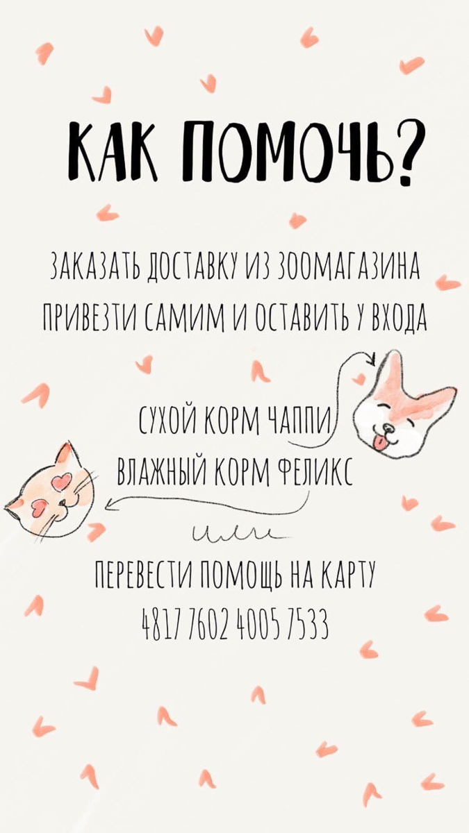 Владимирские приюты для животных сейчас оказались в незавидном положении. Из-за карантина их жизнь усложнилась, но мы с вами можем помочь