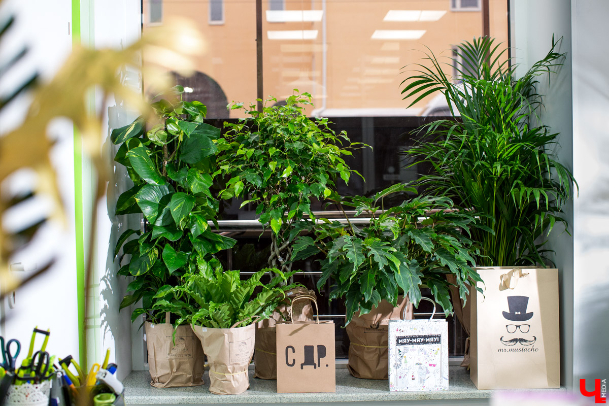 Когда в доме не хватает жизни и праздника, на помощь приходят цветочные композиции. Рассказываем, как застелить пол лепестками роз, при этом не совершая лишних телодвижений