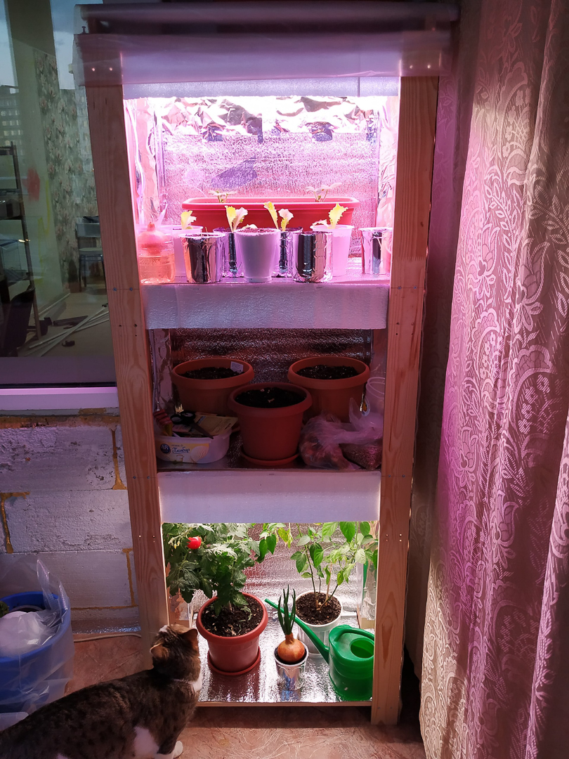 Рассказываем, с какими трудностями и радостями столкнулись владимирцы, временно переехавшие в деревню. Этим ребятам есть чем занять себя дома: наколоть дрова, вырастить на окне шпинат, посмотреть на звезды и подумать о будущем