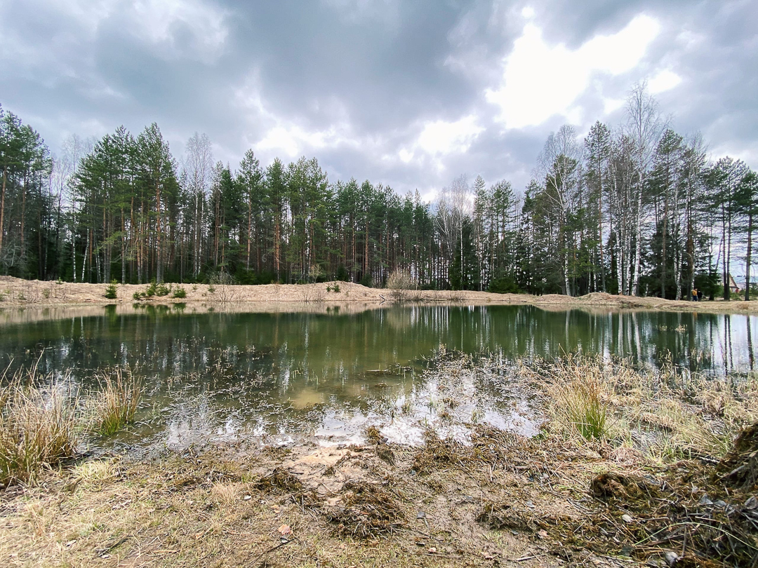 Рассказываем, с какими трудностями и радостями столкнулись владимирцы, временно переехавшие в деревню. Этим ребятам есть чем занять себя дома: наколоть дрова, вырастить на окне шпинат, посмотреть на звезды и подумать о будущем
