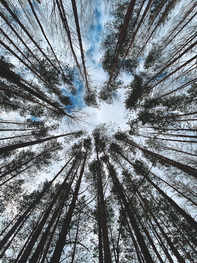 Рассказываем, с какими трудностями и радостями столкнулись владимирцы, временно переехавшие в деревню. Этим ребятам есть чем занять себя дома: наколоть дрова, вырастить на окне шпинат, посмотреть на звезды и подумать о будущем