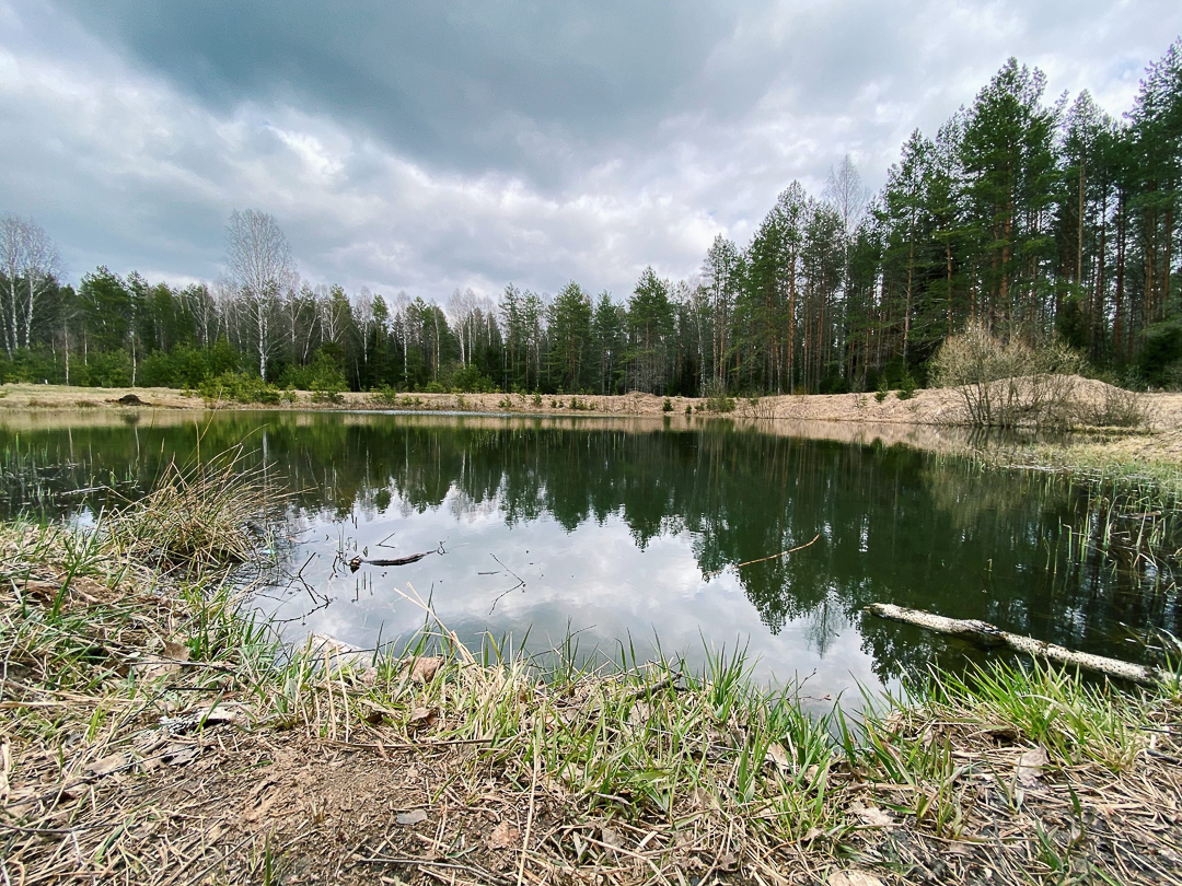 Рассказываем, с какими трудностями и радостями столкнулись владимирцы, временно переехавшие в деревню. Этим ребятам есть чем занять себя дома: наколоть дрова, вырастить на окне шпинат, посмотреть на звезды и подумать о будущем