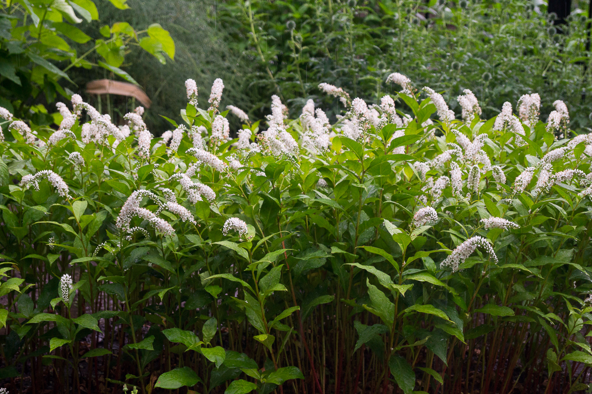 Развеиваем слухи об отмене ОГЭ и ЕГЭ. Подробный рассказ о том, что сейчас происходит во владимирских школах, и чего ожидать в будущем