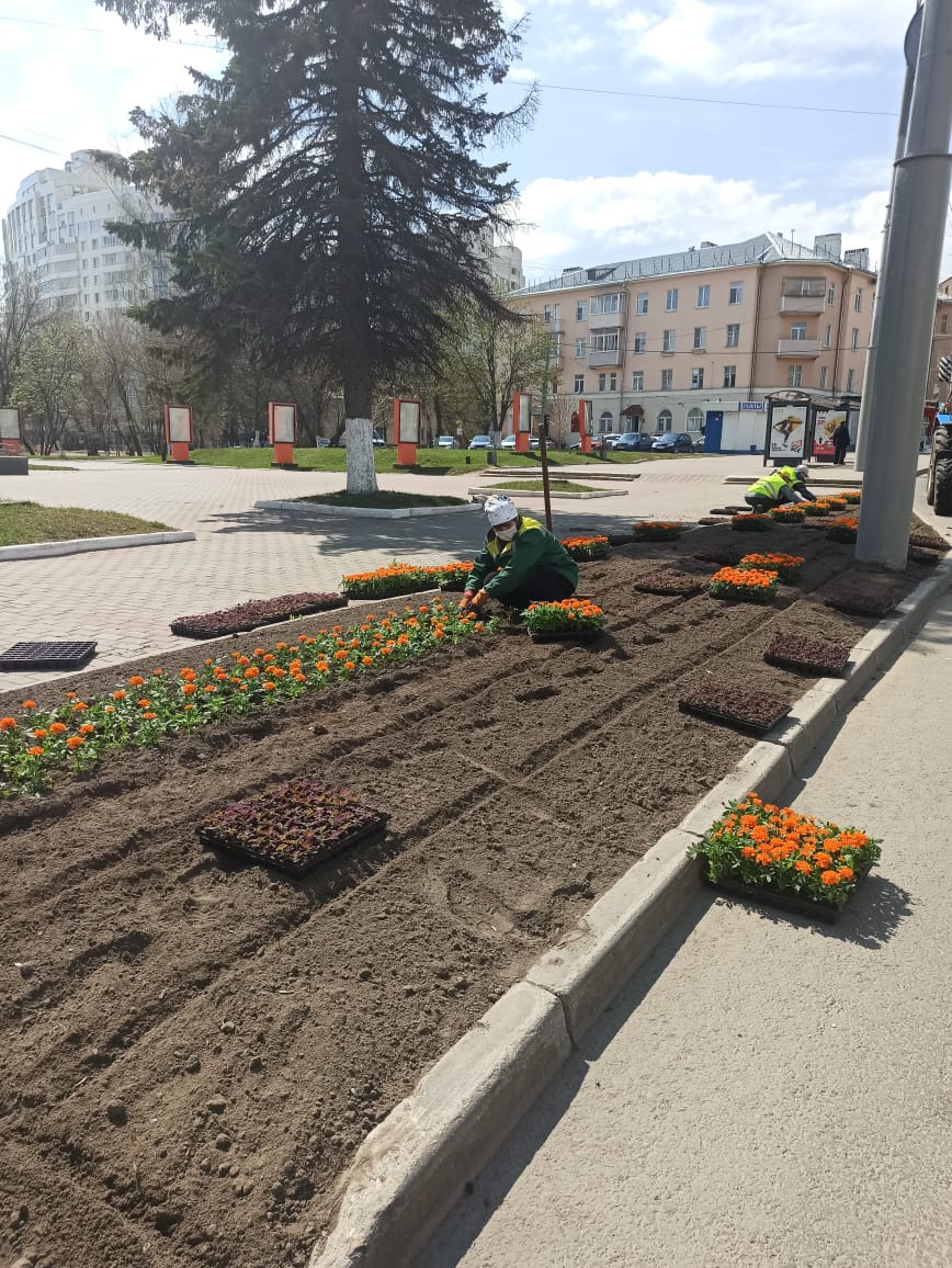 Владимирские клумбы вовсю украшают. Работы по благоустройству цветников продлятся весь весенне-летний сезон