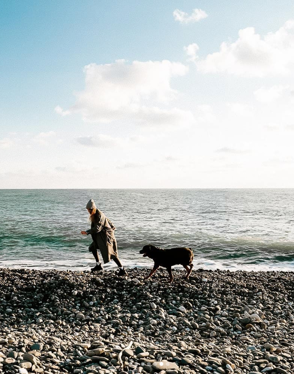 Обеспечить крышу над головой потерявшемуся коту или собаке из приюта может и хочет далеко не каждый. В современном мире это даже своего рода геройство. Мы подготовили для вас несколько таких историй