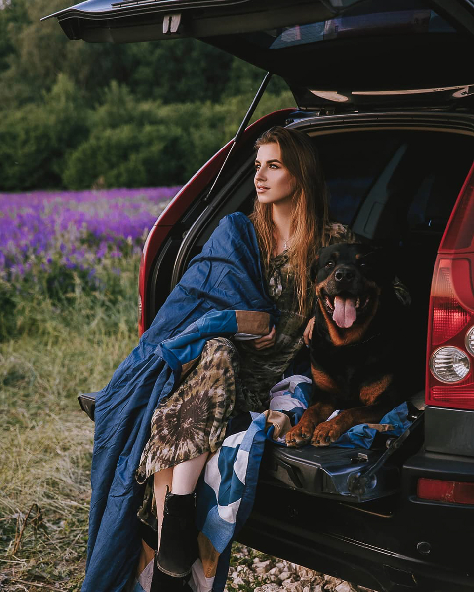 Обеспечить крышу над головой потерявшемуся коту или собаке из приюта может и хочет далеко не каждый. В современном мире это даже своего рода геройство. Мы подготовили для вас несколько таких историй