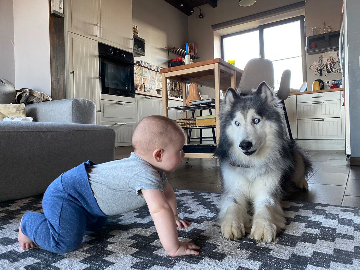 Обеспечить крышу над головой потерявшемуся коту или собаке из приюта может и хочет далеко не каждый. В современном мире это даже своего рода геройство. Мы подготовили для вас несколько таких историй