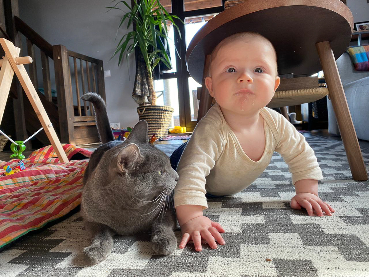 Обеспечить крышу над головой потерявшемуся коту или собаке из приюта может и хочет далеко не каждый. В современном мире это даже своего рода геройство. Мы подготовили для вас несколько таких историй