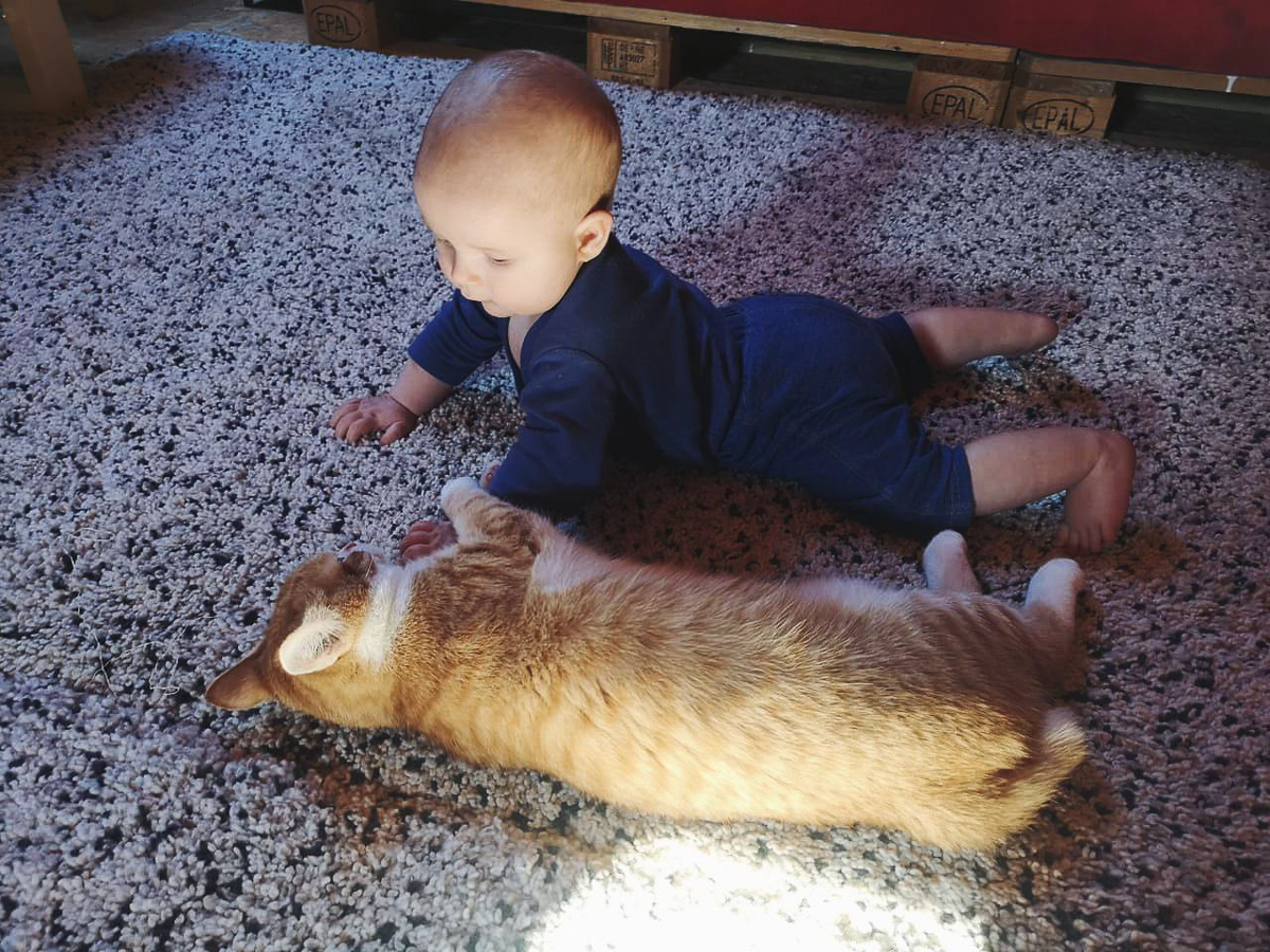 Обеспечить крышу над головой потерявшемуся коту или собаке из приюта может и хочет далеко не каждый. В современном мире это даже своего рода геройство. Мы подготовили для вас несколько таких историй