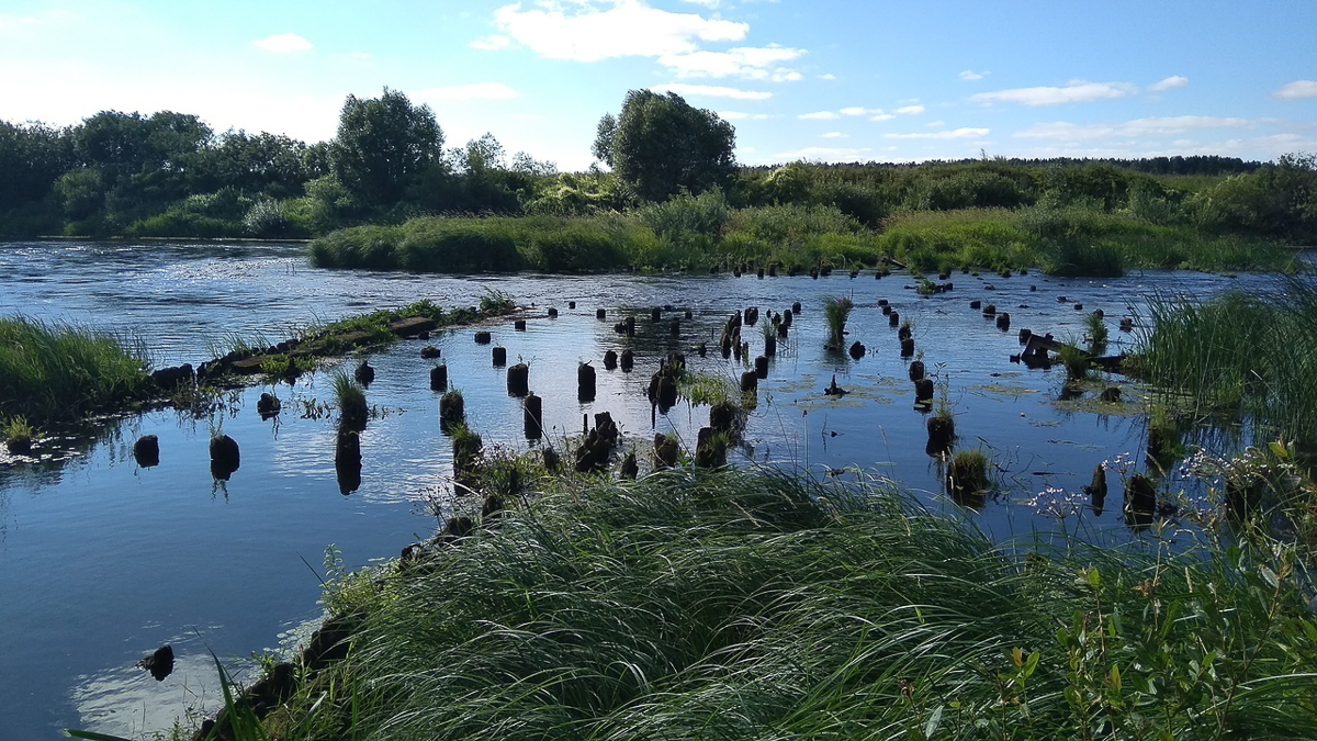 Тур выходного дня на велосипеде - отличная идея. Куда отправиться из Владимира, когда это будет разрешено? Вот вам три варианта