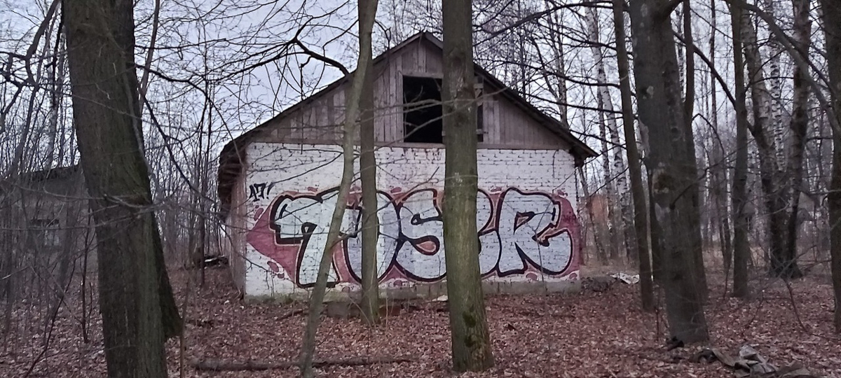 Тур выходного дня на велосипеде - отличная идея. Куда отправиться из Владимира, когда это будет разрешено? Вот вам три варианта