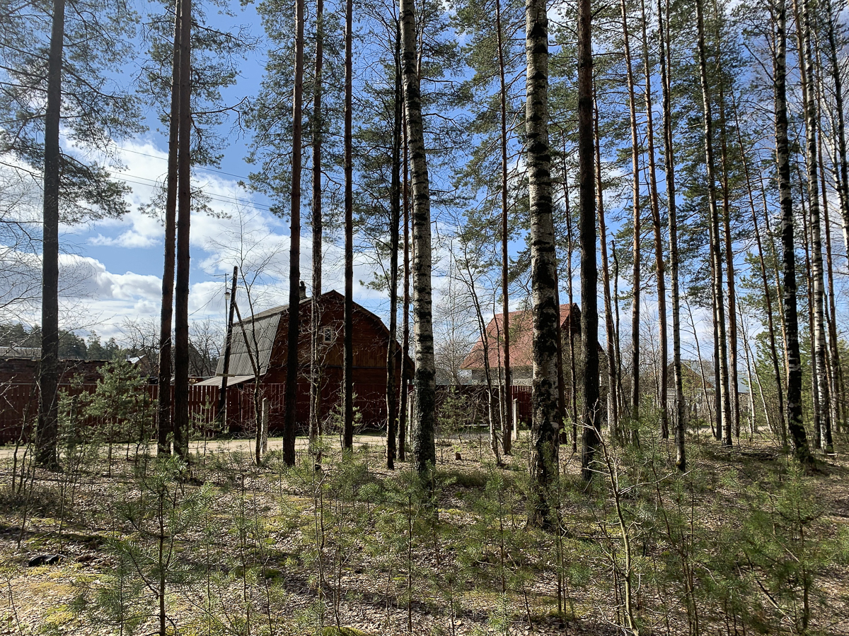 Новый вариант М12 сначала назвали более приемлемым для жителей. Но на самом деле это не так. Около 20 000 людей пострадают из-за автобана